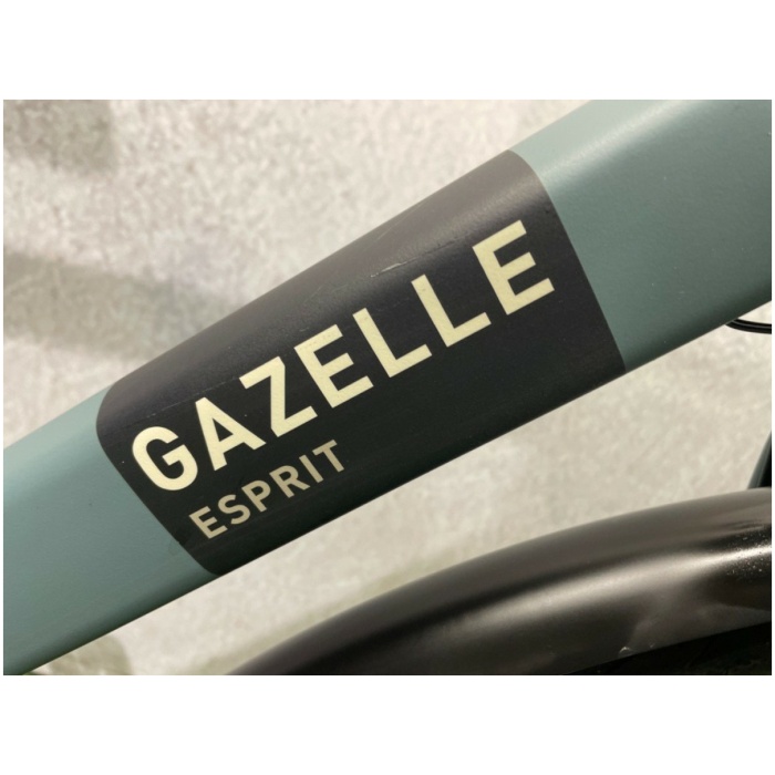 Gazelle Esprit Petrol Heren 2022 - Afbeelding 2